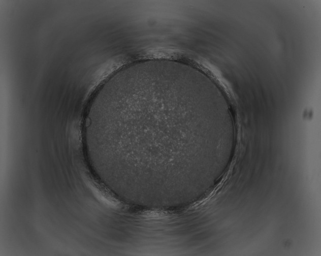 X0000091700250200708241229