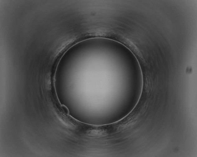 X0000091700251200708241229
