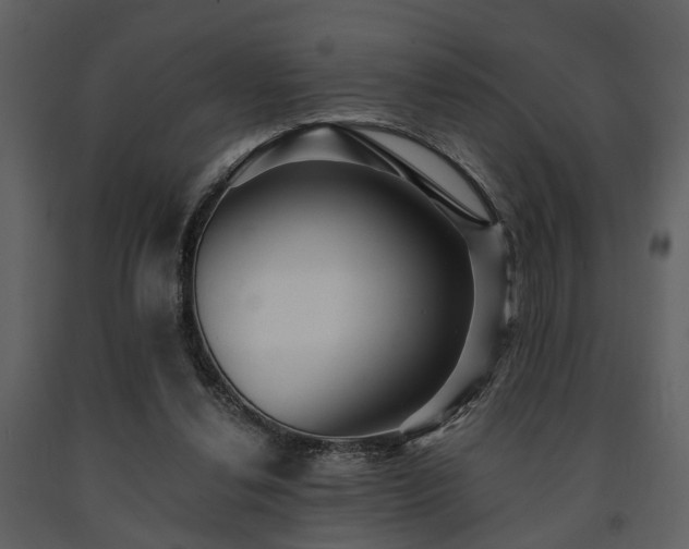 X0000091700252200708241229