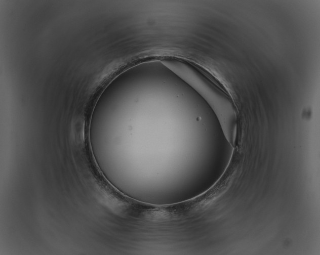 X0000091700253200708241229
