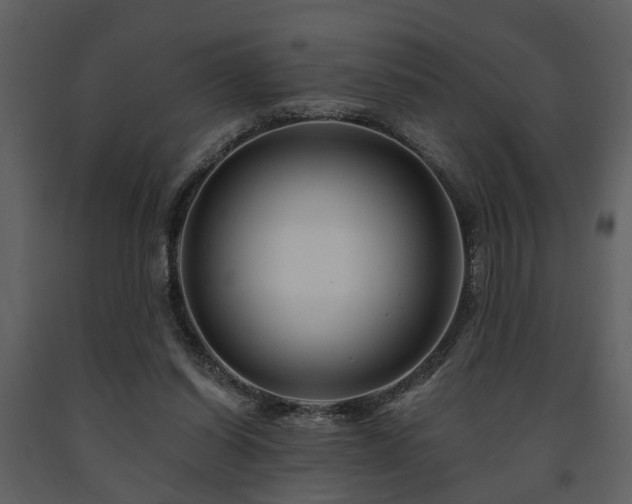 X0000091700254200708241229
