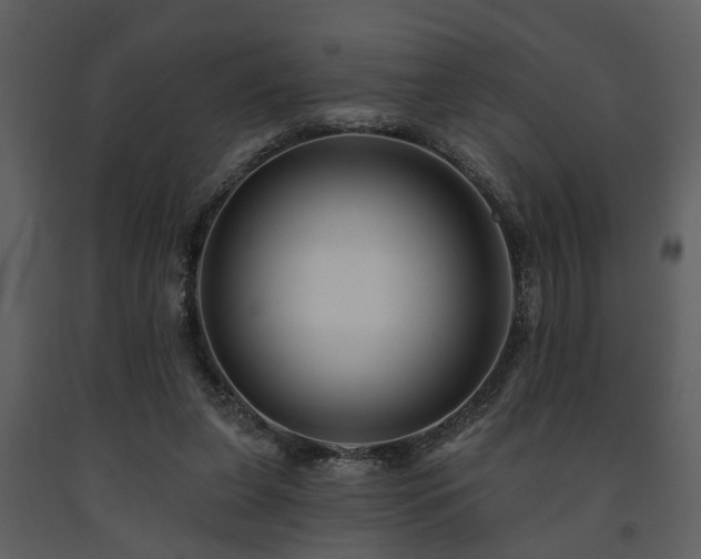 X0000091700255200708241229