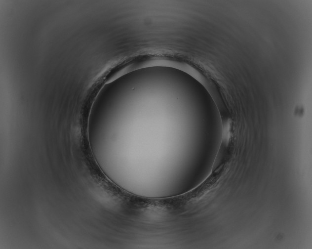 X0000091700256200708241229