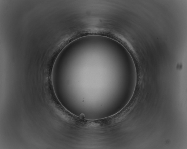 X0000091700257200708241229