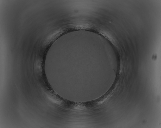 X0000091700258200708241229