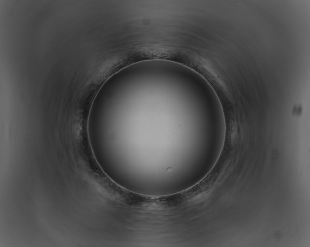 X0000091700259200708241229
