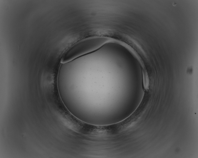 X0000091700260200708241229