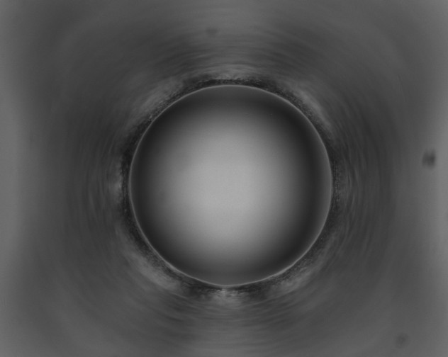 X0000091700261200708241229