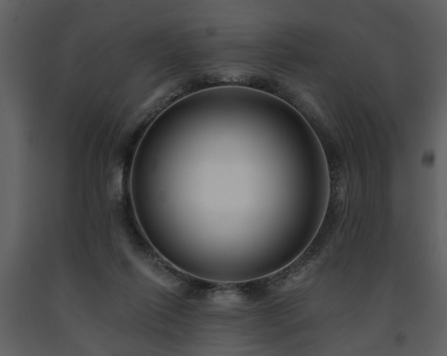 X0000091700262200708241229