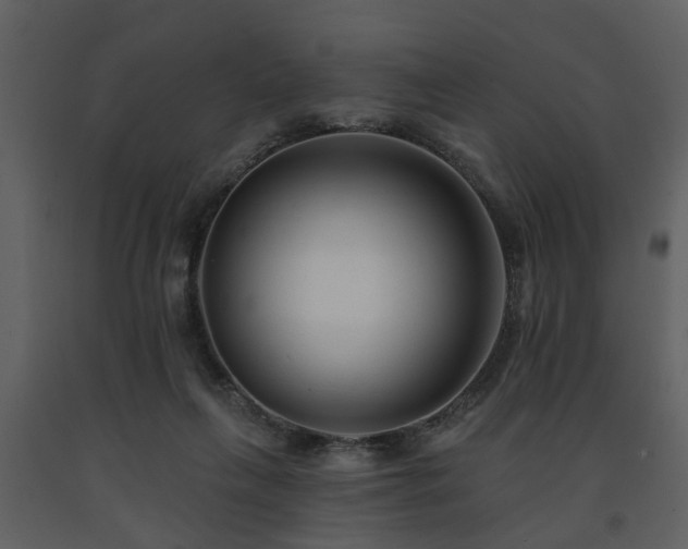 X0000091700263200708241229