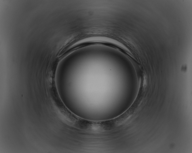 X0000091700264200708241229