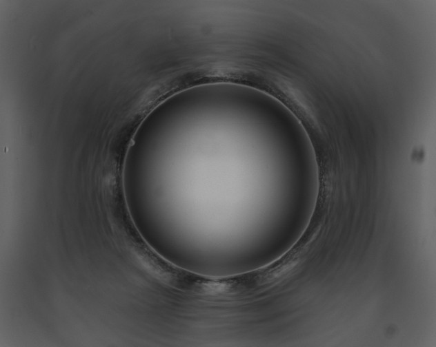 X0000091700265200708241229