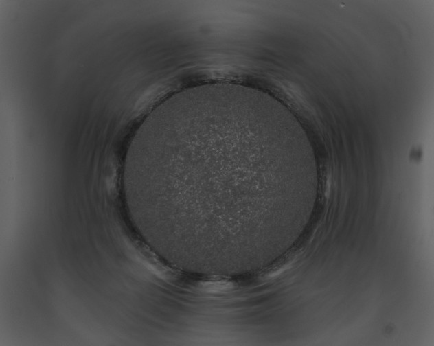 X0000091700266200708241229