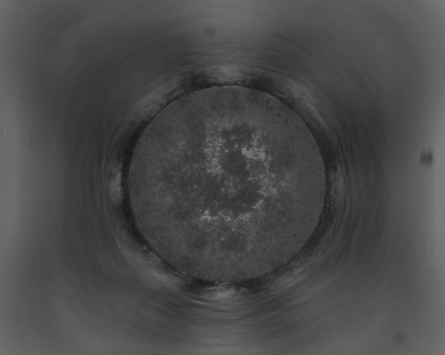 X0000091700267200708241229