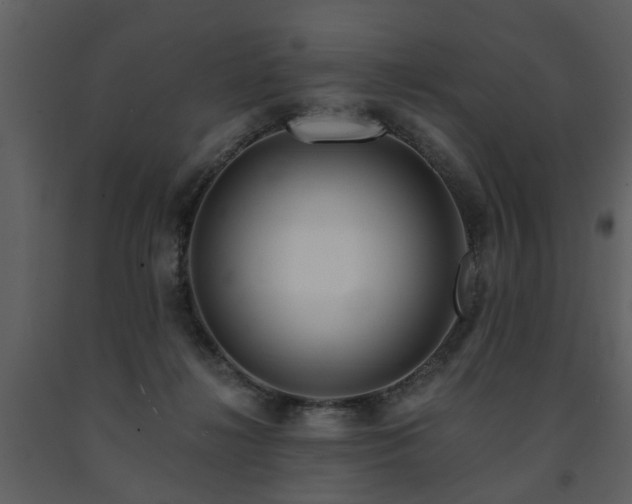 X0000091700268200708241229
