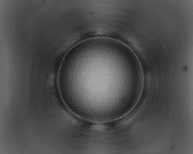 X0000091700269200708241230