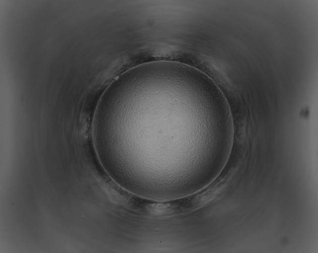 X0000091700273200708241230