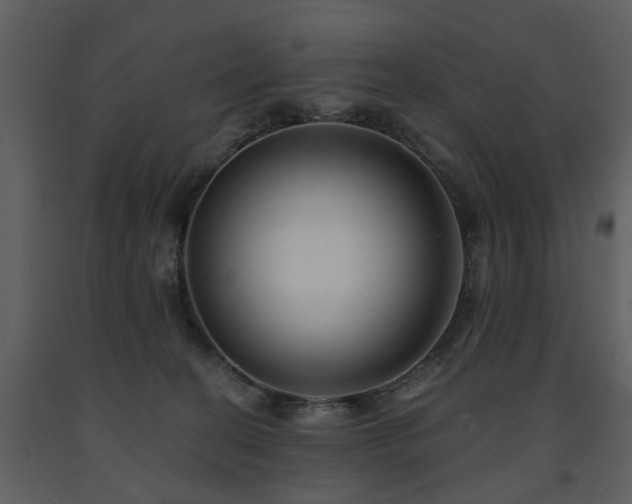 X0000091700274200708241230