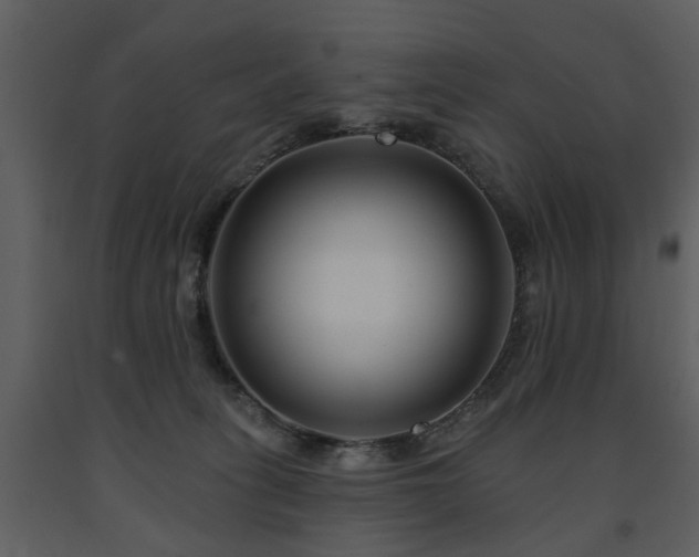 X0000091700275200708241230