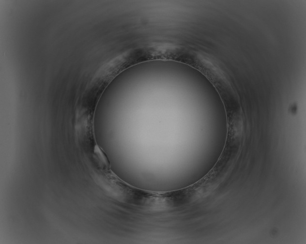 X0000091700276200708241230