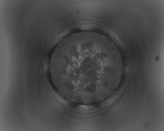 X0000091700277200708241230