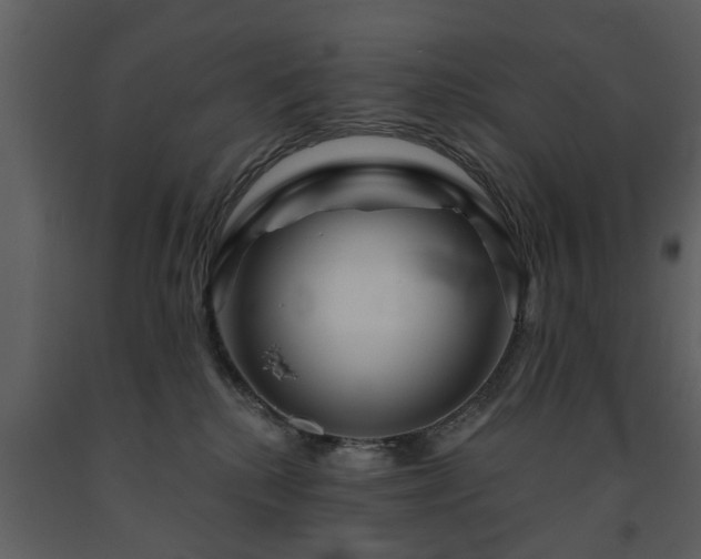 X0000091700280200708241230