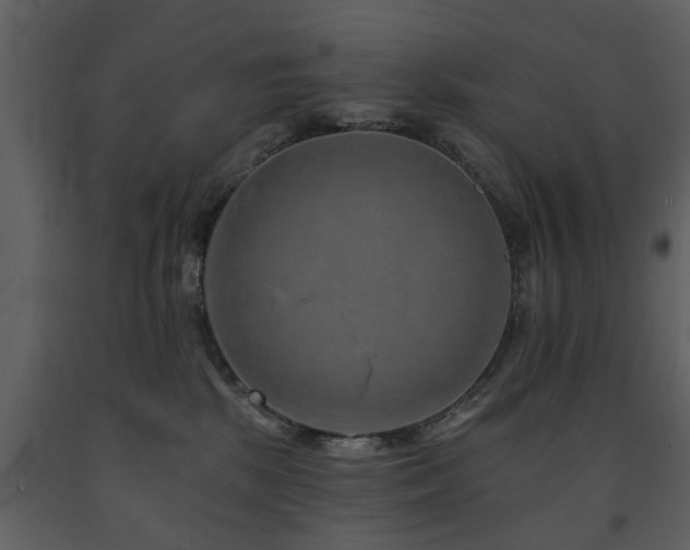 X0000091700281200708241230