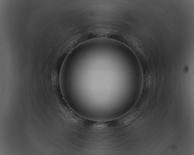 X0000091700283200708241230