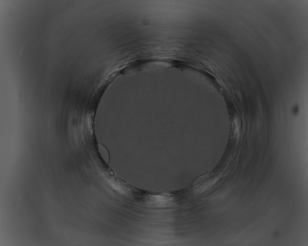 X0000091700286200708241230
