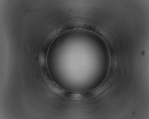 X0000091700287200708241230