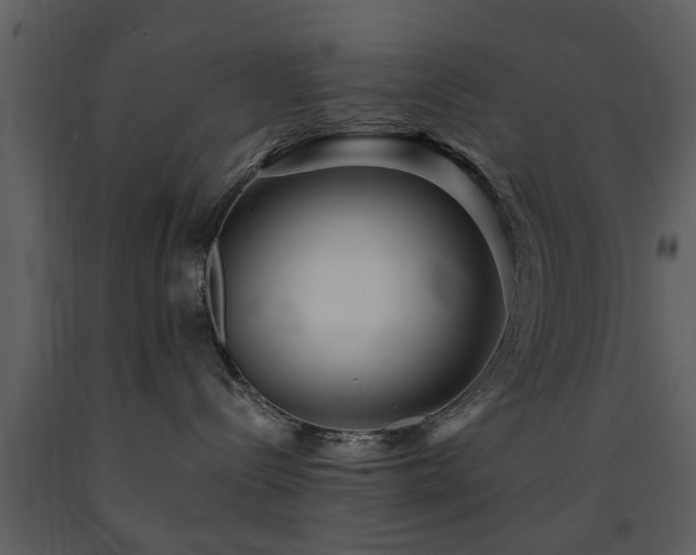 X0000091700288200708241230
