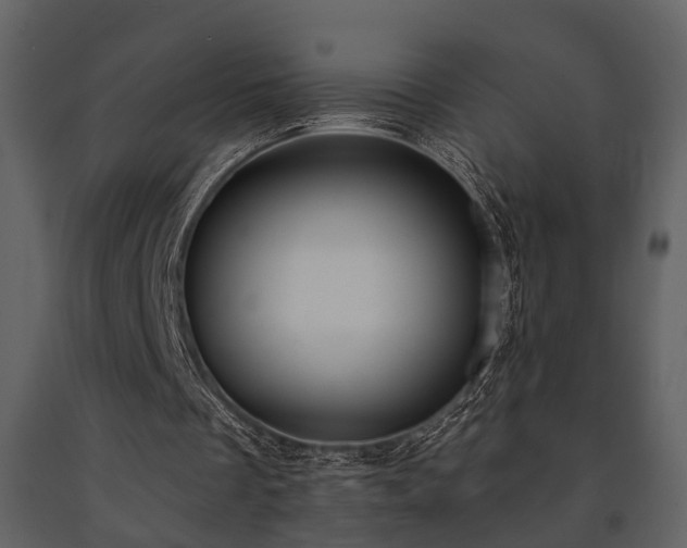X0000091700289200708241229