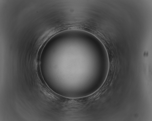 X0000091700290200708241229