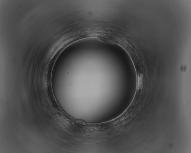 X0000091700291200708241229