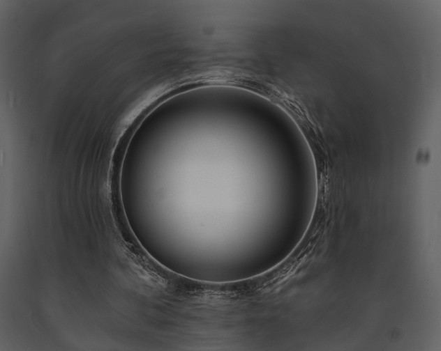 X0000091700292200708241229