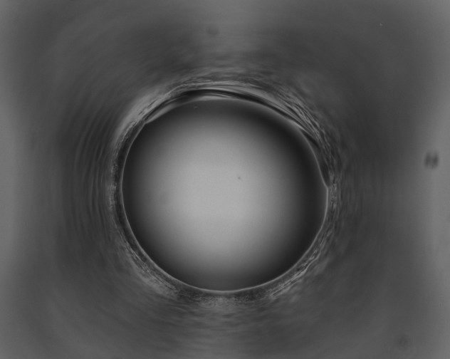 X0000091700293200708241229