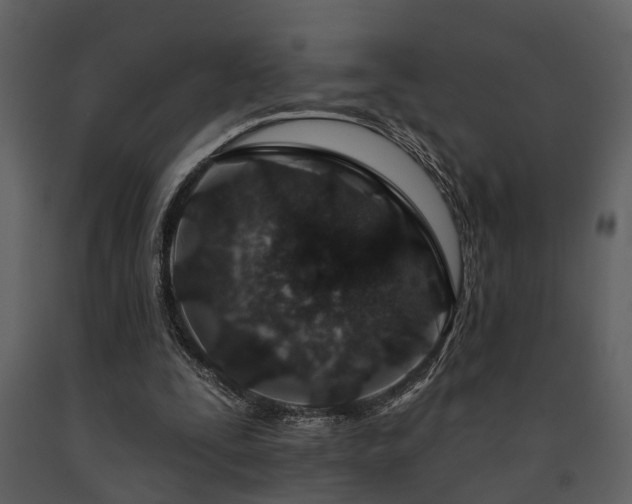 X0000091700295200708241229