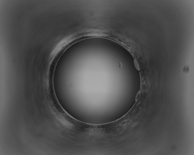 X0000091700296200708241229