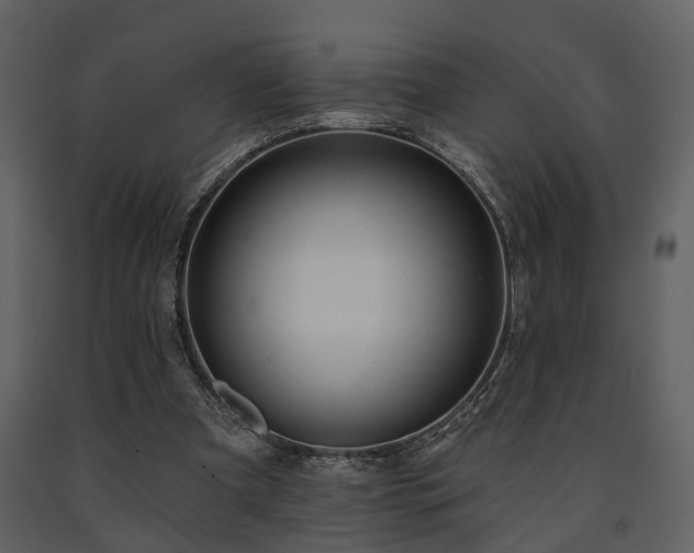 X0000091700297200708241229