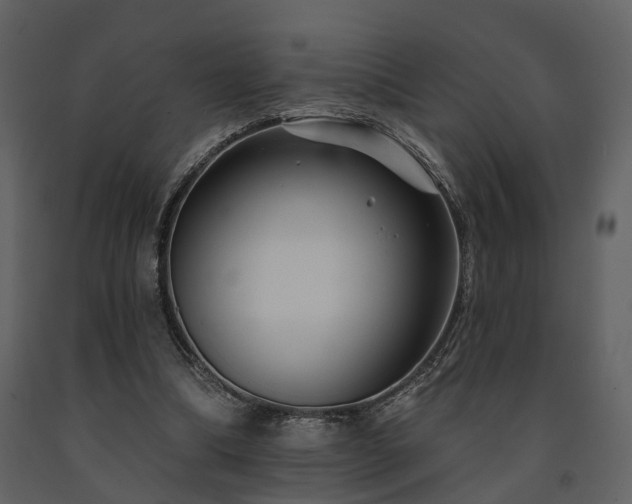 X0000091700298200708241229