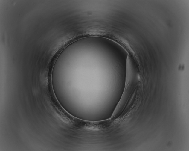 X0000091700299200708241229