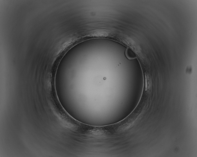 X0000091700300200708241229