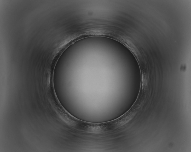 X0000091700301200708241229