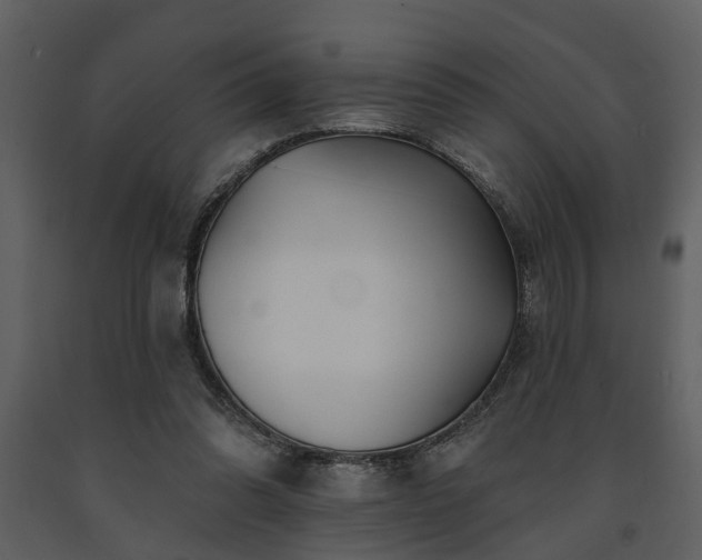 X0000091700302200708241229