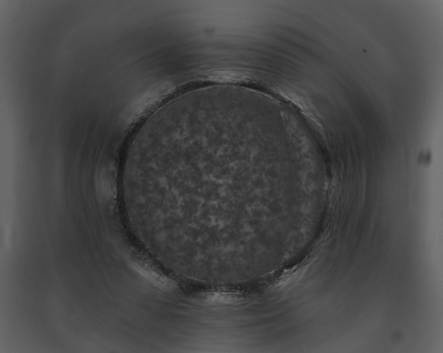 X0000091700303200708241229