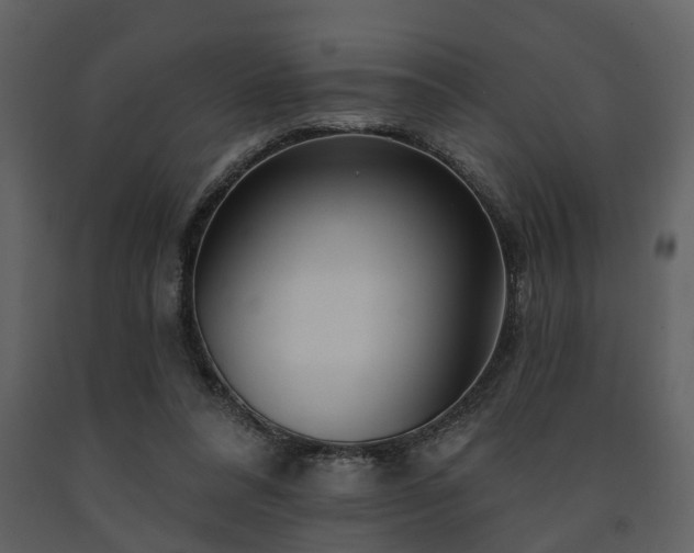 X0000091700304200708241229