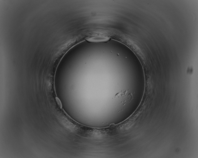 X0000091700305200708241229