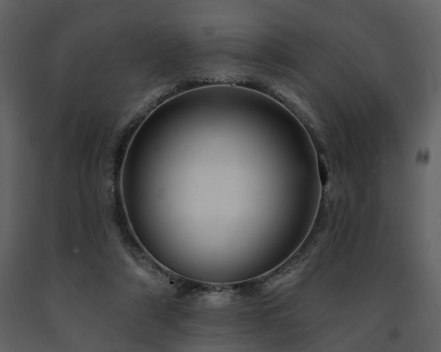 X0000091700306200708241229