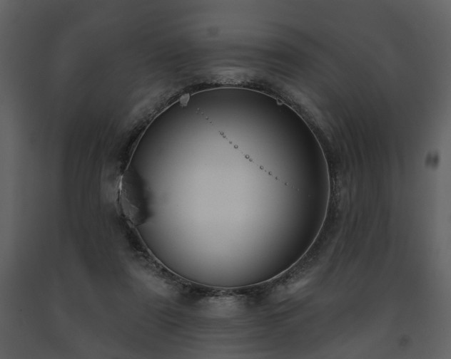 X0000091700307200708241229