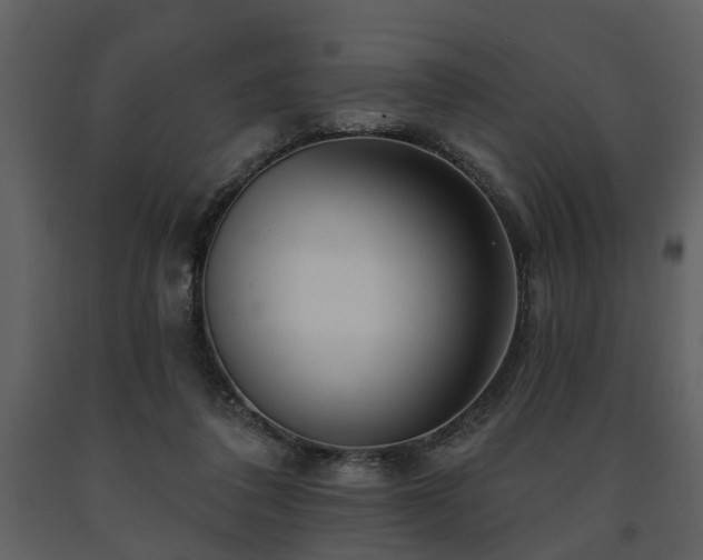 X0000091700308200708241229